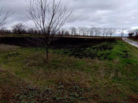 участок по адресу с. Катериновка, Молодіжна