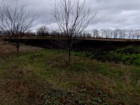 участок по адресу с. Катериновка, Молодіжна