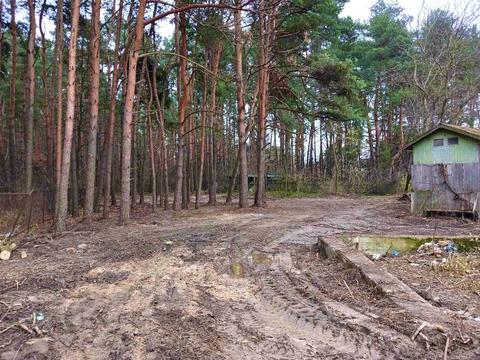 участок по адресу Університетська, 8