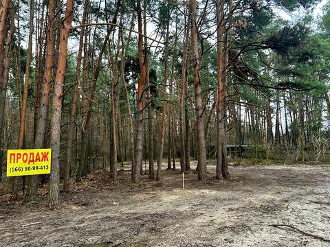 участок по адресу Університетська, 8