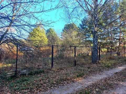 участок по адресу Університетська, 8