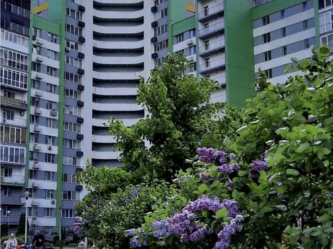 квартира за адресою Вишгородська вул., 45