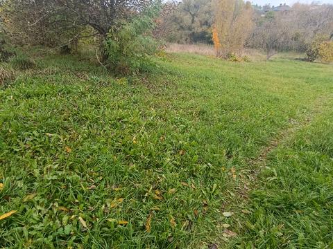 дом по адресу Шевченка