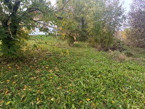 дом по адресу Шевченка