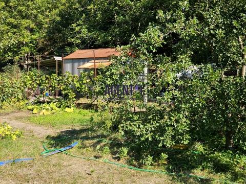 дом по адресу Светлая ул.