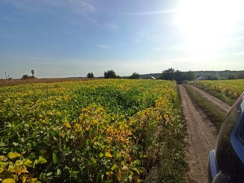 ділянка за адресою смт. Велика Березовиця, Івана Франка вул.