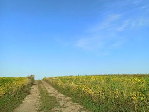 ділянка за адресою смт. Велика Березовиця, Івана Франка вул.