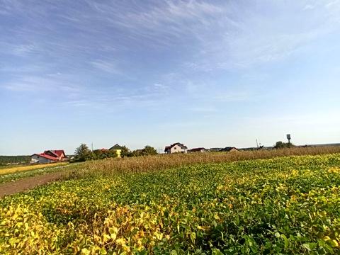 ділянка за адресою смт. Велика Березовиця, Івана Франка вул.