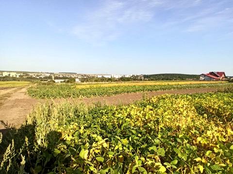 ділянка за адресою смт. Велика Березовиця, Івана Франка вул.