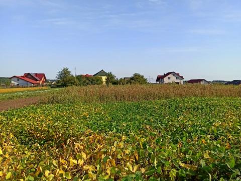 ділянка за адресою смт. Велика Березовиця, Івана Франка вул.