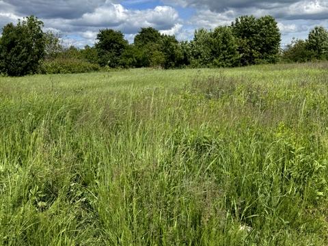 ділянка за адресою 