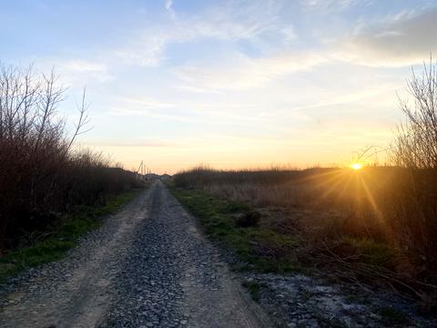 ділянка за адресою Канальна