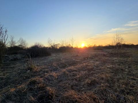 ділянка за адресою с. Чукалівка, 