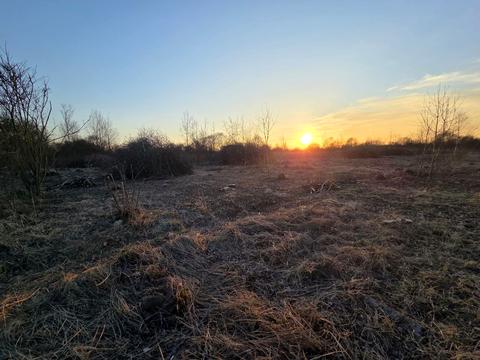 ділянка за адресою с. Чукалівка, 