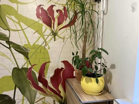 квартира по адресу Микитенко Ивана ул., 9