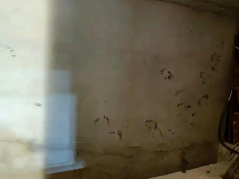 дом по адресу Підводників