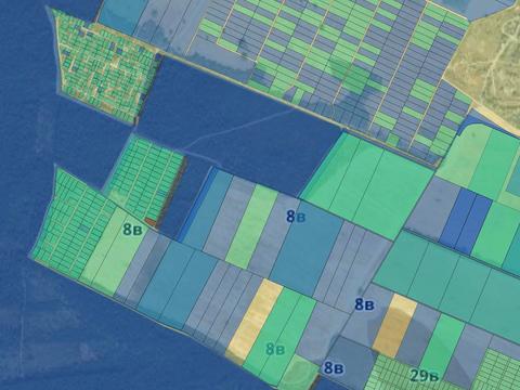 ділянка за адресою с. Ревне, Травнева