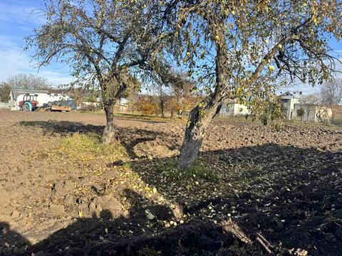 будинок за адресою Лісова