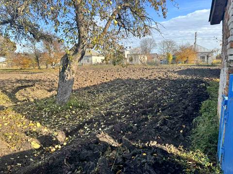 будинок за адресою Лісова
