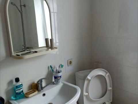 будинок за адресою Підгородне, Весняна вул.