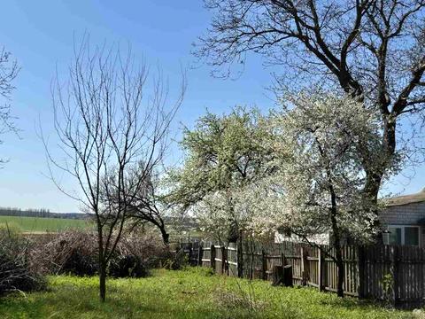 будинок за адресою Новоселицька, 84