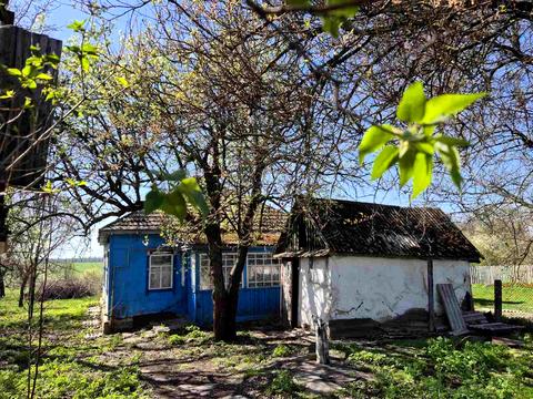 будинок за адресою Новоселицька, 84