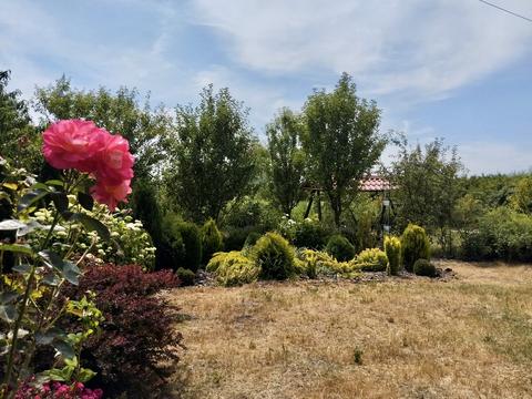 дом по адресу Сечевых Стрельцов ул.