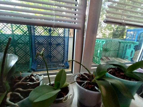 квартира за адресою Героїв Оборони Одеси вул. (Героїв Сталінграду), 72