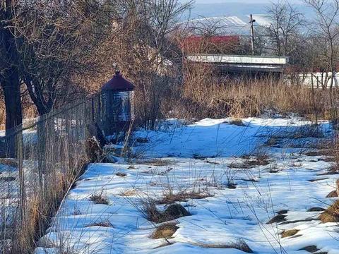 ділянка за адресою с. Вістова, 