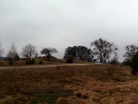 ділянка за адресою Корчак