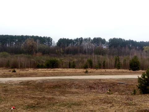 ділянка за адресою Корчак