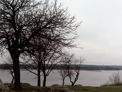 ділянка за адресою Корчак