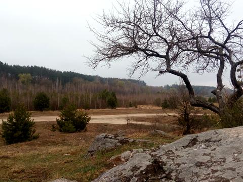 ділянка за адресою Корчак