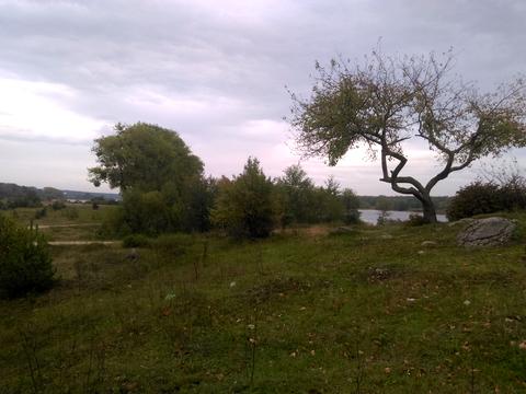 ділянка за адресою Корчак