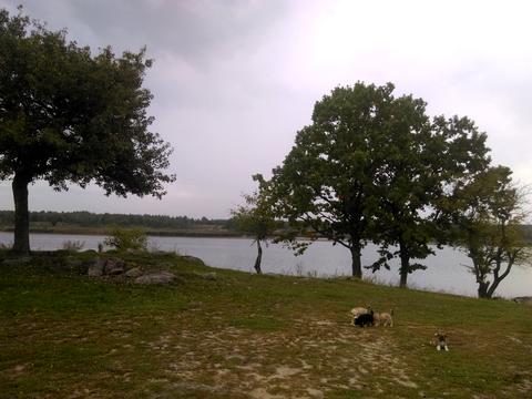 участок по адресу Корчак