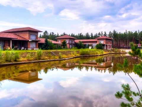 участок по адресу Лесная ул., 100