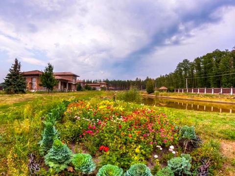 ділянка за адресою Лісова вул., 100