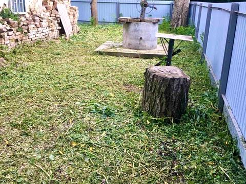 ділянка за адресою Колгоспна, 32