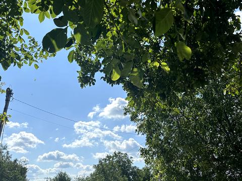 ділянка за адресою Колгоспна, 32