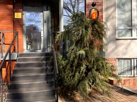 квартира по адресу Мечникова ул., 2/1