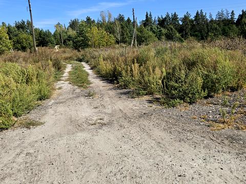 ділянка за адресою Садовий провулок, 1