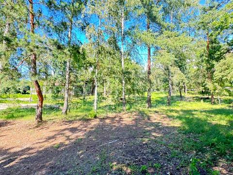 участок по адресу Лісова ул., 55