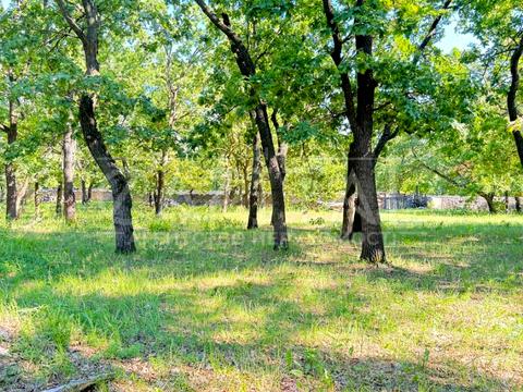 участок по адресу Лісова ул., 55