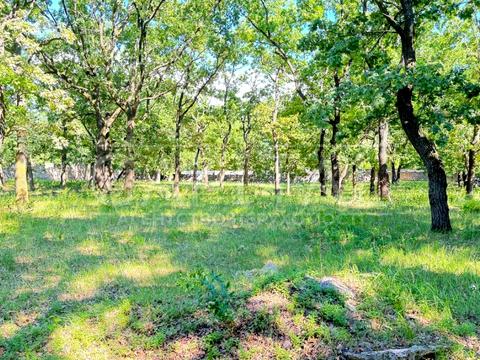 участок по адресу Лісова ул., 55