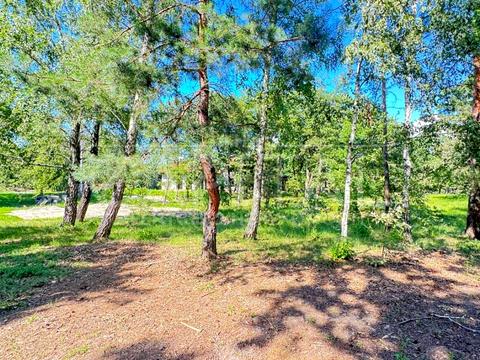 участок по адресу Лісова ул., 55