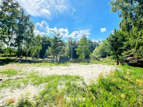 участок по адресу Лісова ул., 55