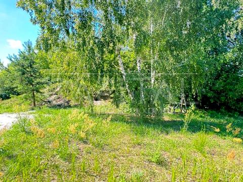 участок по адресу Лісова ул., 55
