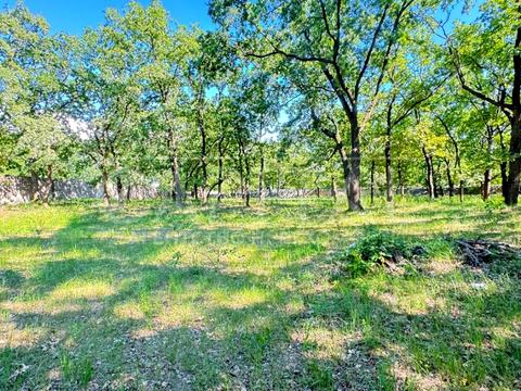 участок по адресу Лісова ул., 55