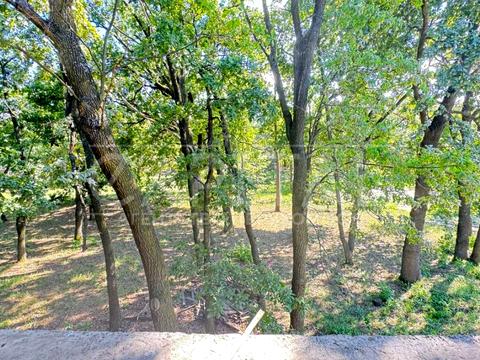 участок по адресу Лісова ул., 55