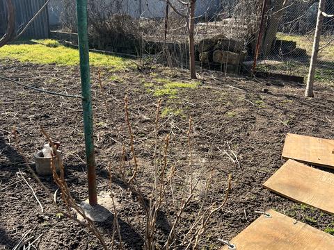 дом по адресу Святослава Рихтера ул. (Щорса)